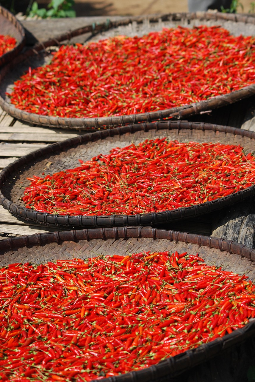 Scoville skala- ljute paprike