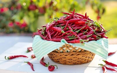 Kapsaicin kao saveznik metabolizma: Zašto je ljutina dobra za vaše tijelo?