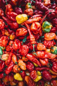 ljute paprike za chilli umak - Kako čuvati ljuti umak
